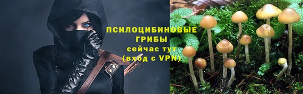 таблы Ельня