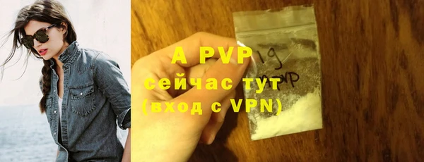 таблы Ельня
