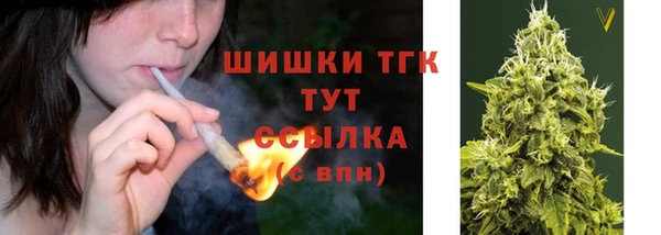 2c-b Елабуга