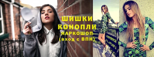 таблы Ельня