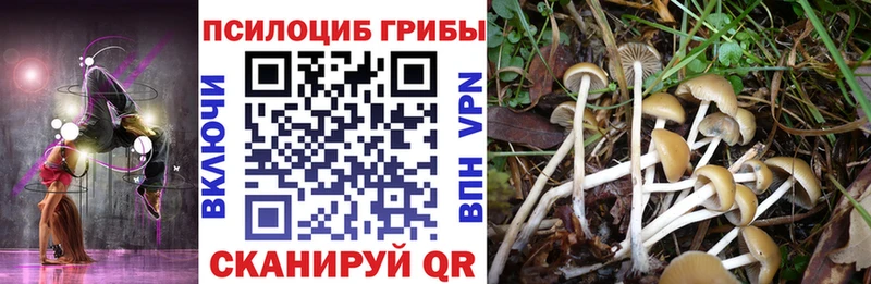 Купить  Ульяновск  Псилоцибиновые грибы мухоморы 